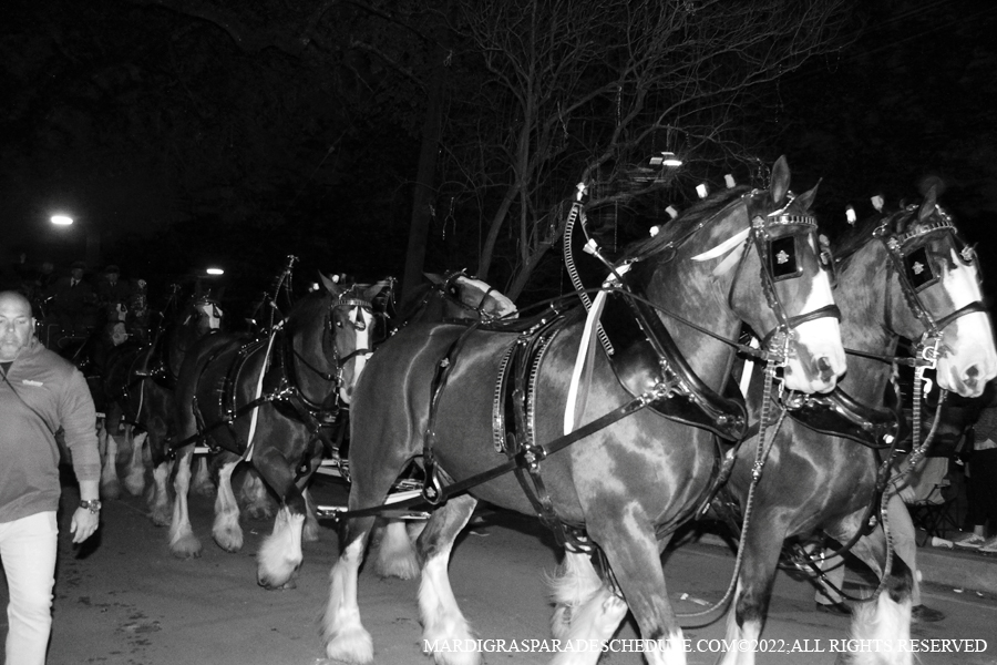 Le-Krewe-dEtat-00002-2022