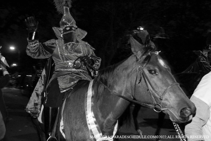 Le-Krewe-dEtat-00012-2022