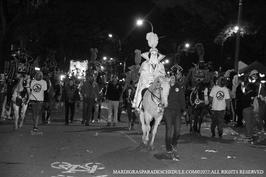 Le-Krewe-dEtat-00016-2022