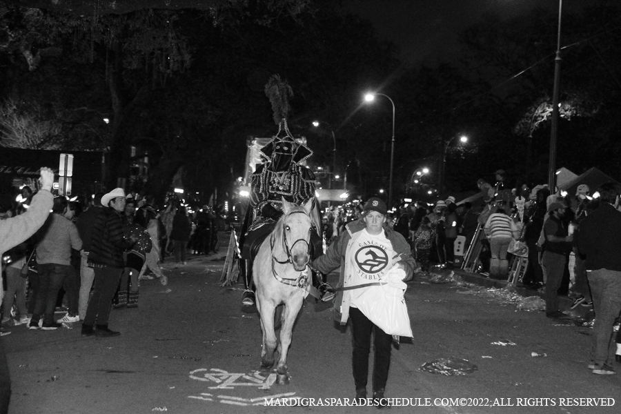 Le-Krewe-dEtat-00019-2022