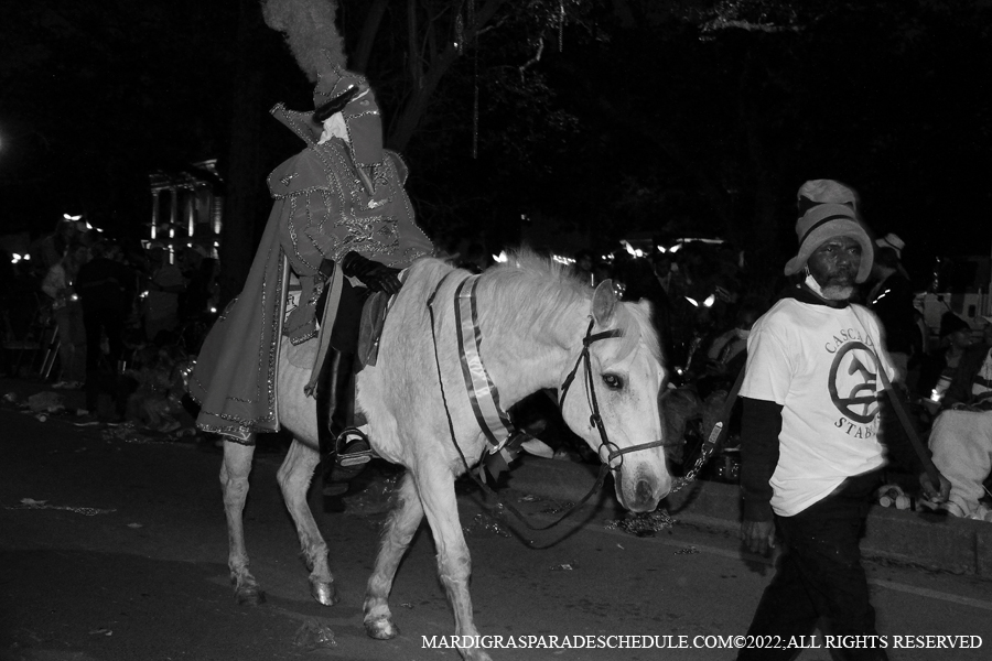 Le-Krewe-dEtat-00041-2022