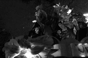 Le-Krewe-dEtat-00050-2022