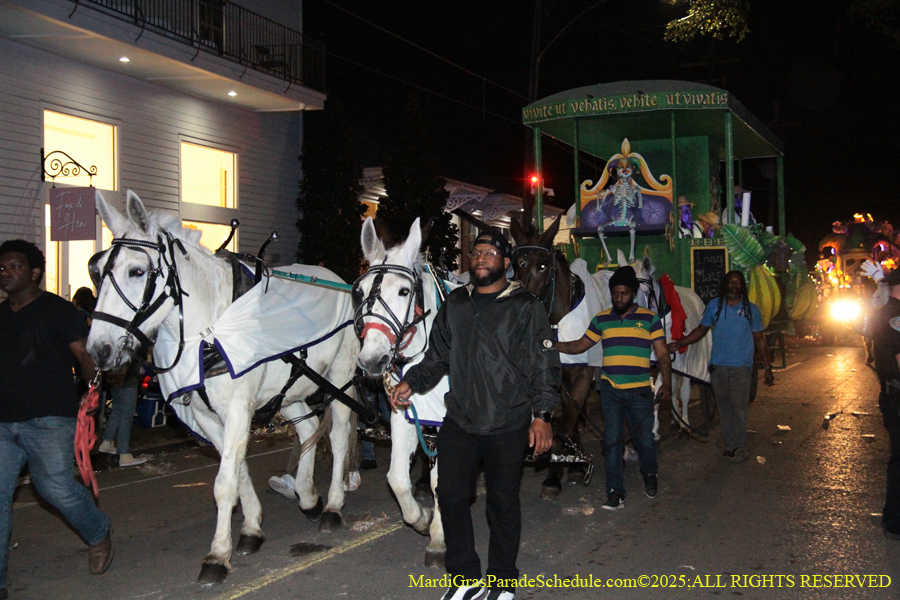 Le-Krewe-Detat-002823
