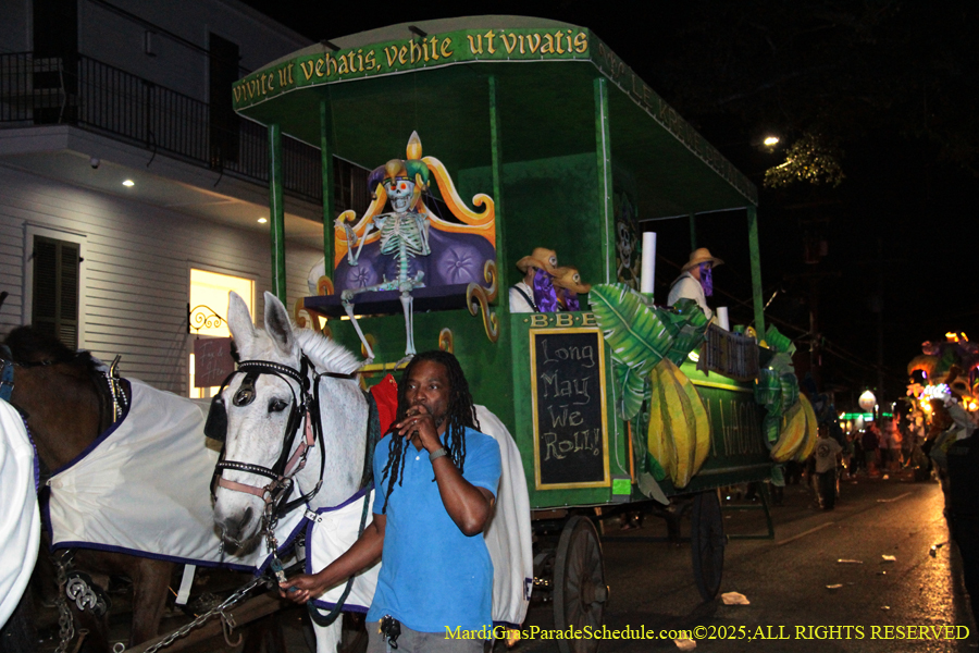 Le-Krewe-Detat-002824