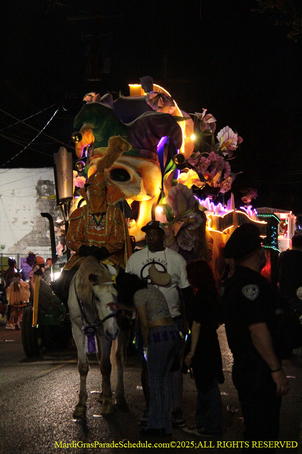 Le-Krewe-Detat-002827