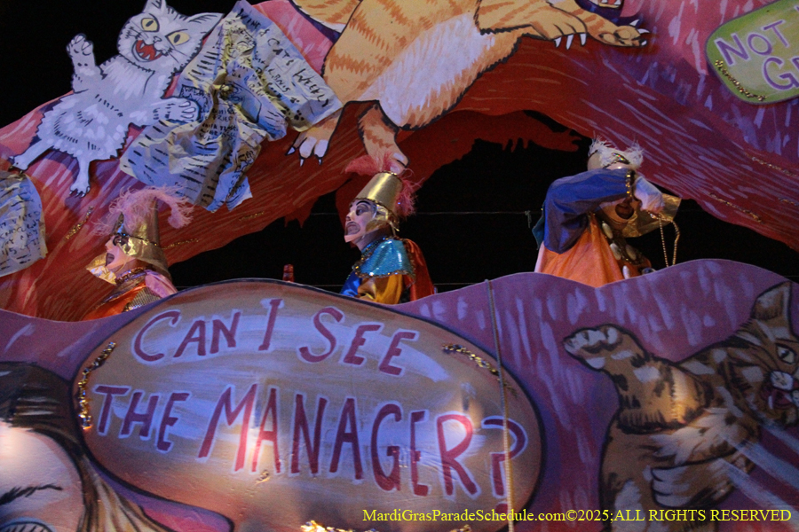 Le-Krewe-Detat-003080