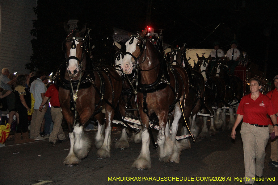 Le-Krewe-Detat-2026-6283