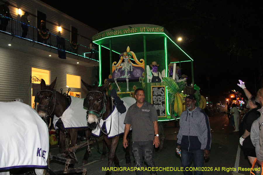 Le-Krewe-Detat-2026-6310