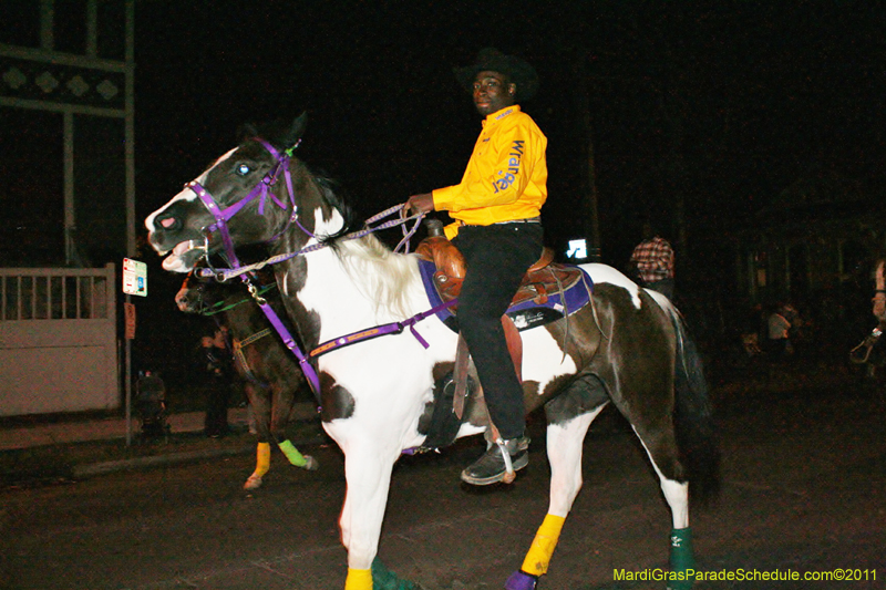 Krewe-of-Ancient-Druids-2011-0061