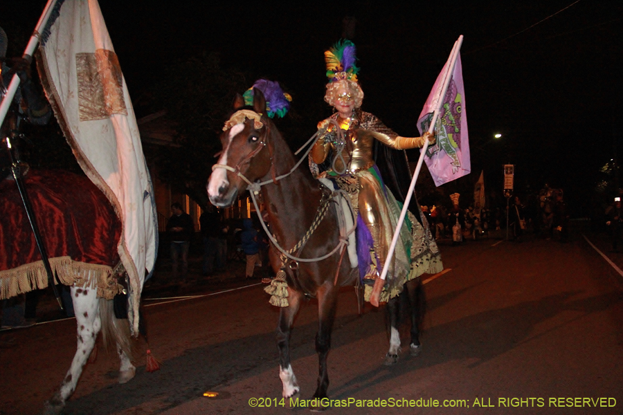 2014-Mystic-Krewe-of-Druids-11023