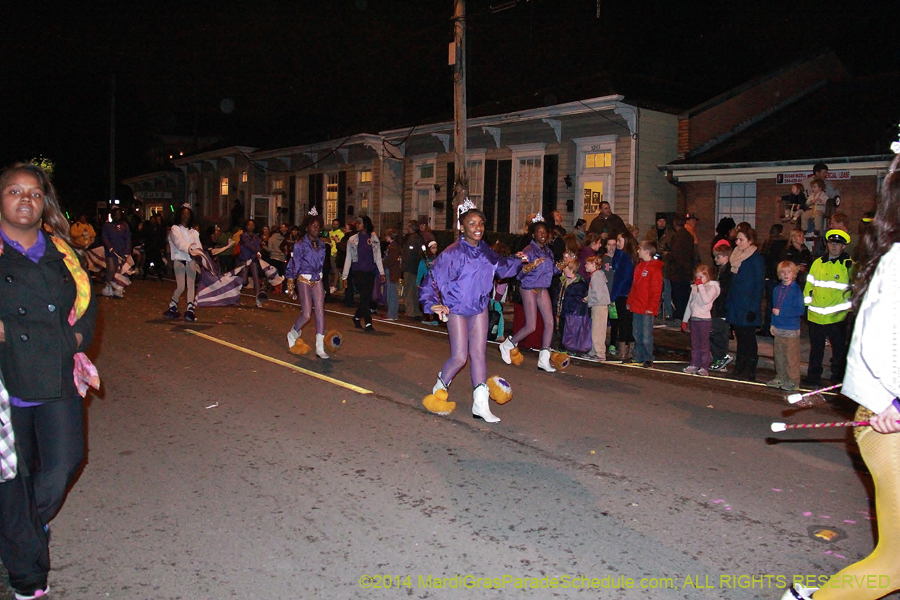 2014-Mystic-Krewe-of-Druids-11058
