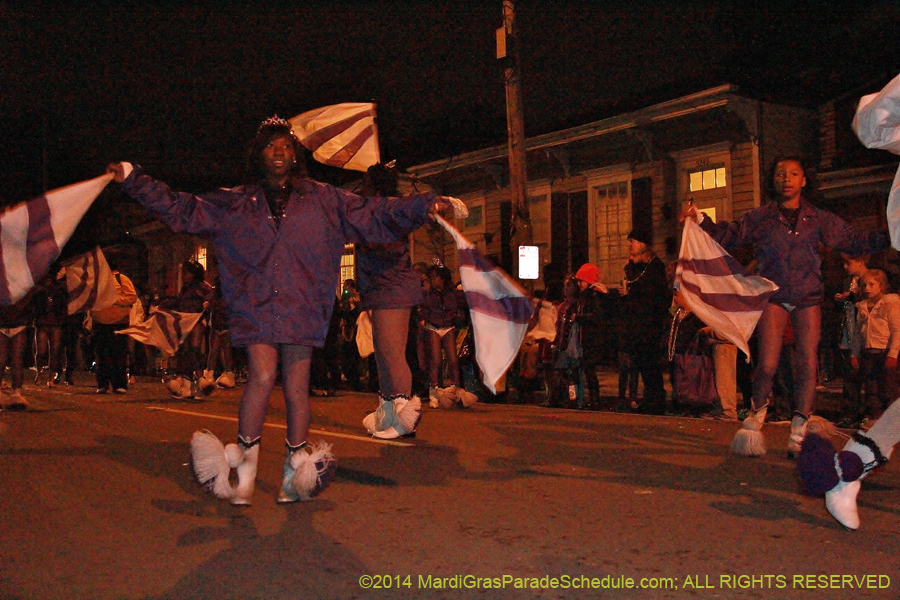 2014-Mystic-Krewe-of-Druids-11059