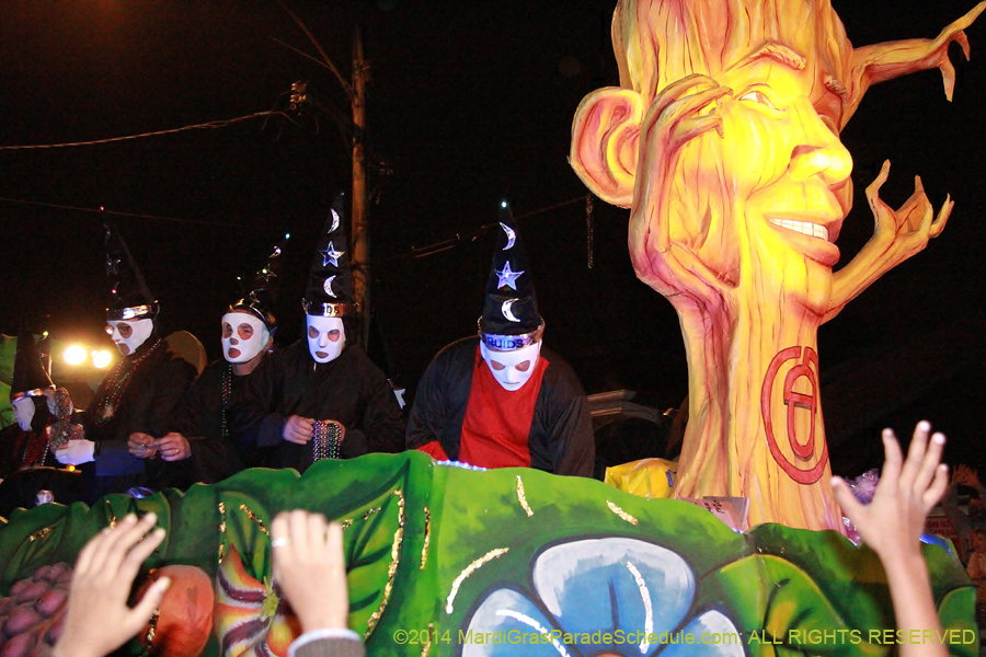 2014-Mystic-Krewe-of-Druids-11062