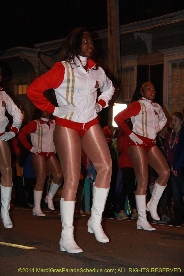 2014-Mystic-Krewe-of-Druids-11091