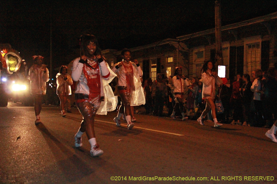 2014-Mystic-Krewe-of-Druids-11094