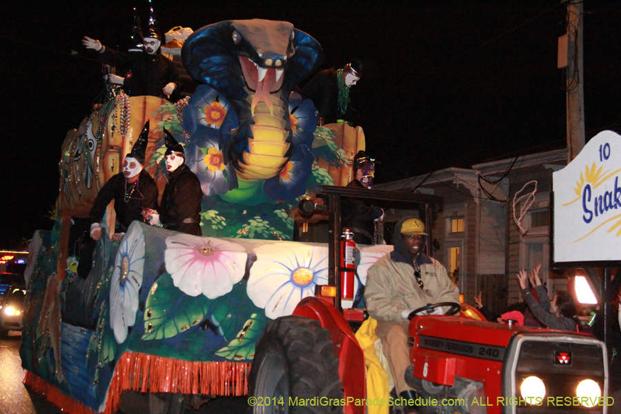 2014-Mystic-Krewe-of-Druids-11099