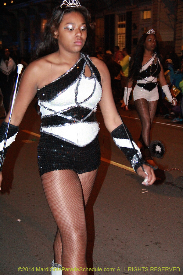 2014-Mystic-Krewe-of-Druids-11165