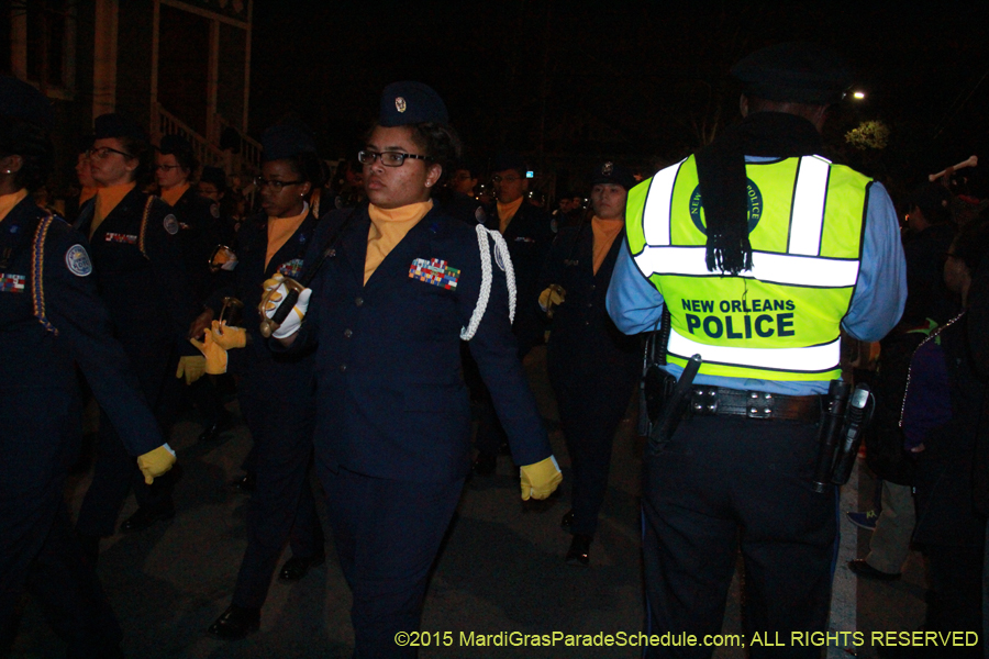 Mystic-Krewe-of-Druids-2015-13287