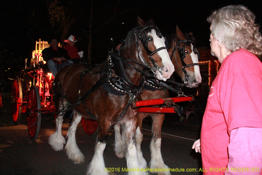 2016-Krewe-of-Druids-006153