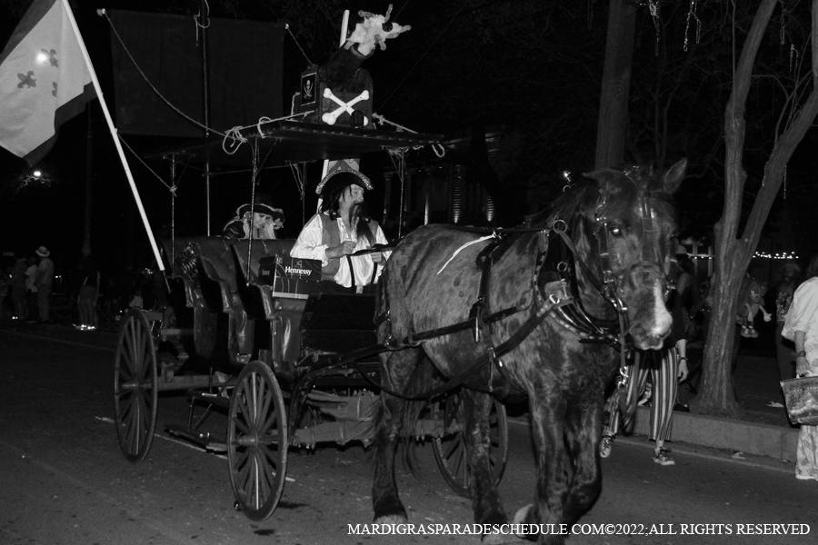 Ancient-Krewe-of-Druids00028-2022