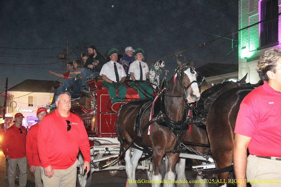 Krwew-of-Druids-002796