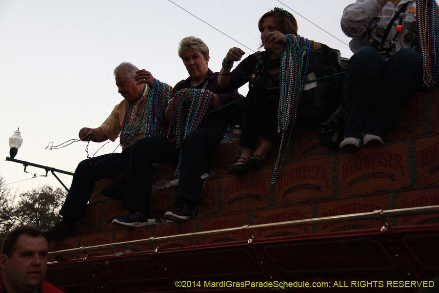 2014-Krewe-of-Endymion-11033