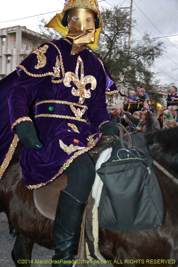 2014-Krewe-of-Endymion-11037