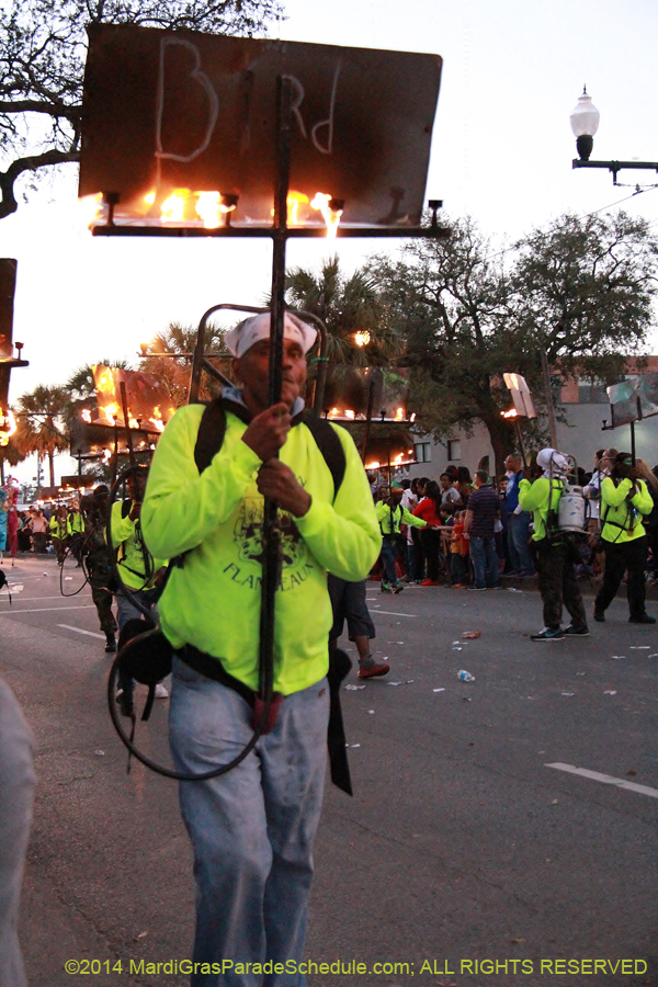 2014-Krewe-of-Endymion-11048