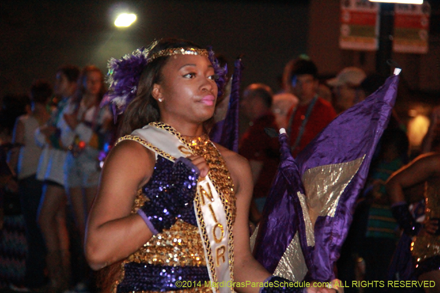 2014-Krewe-of-Endymion-11095