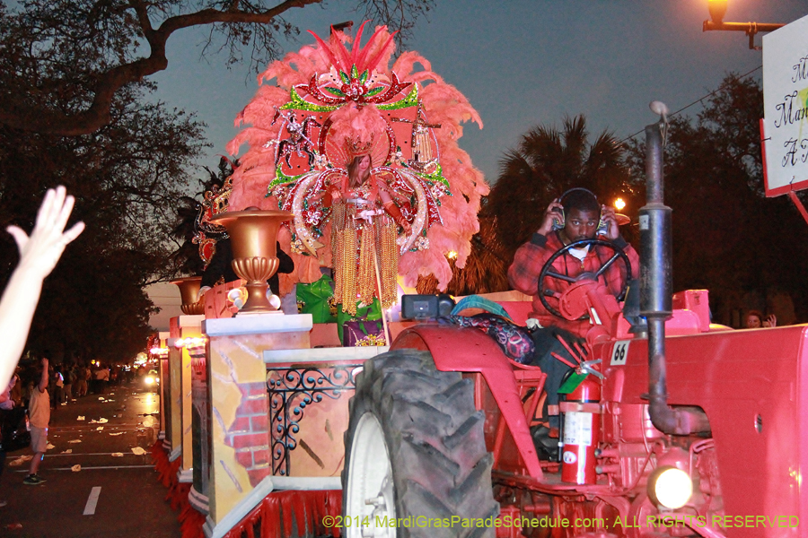 2014-Krewe-of-Endymion-11096