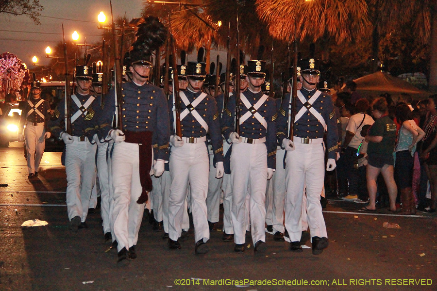 2014-Krewe-of-Endymion-11099