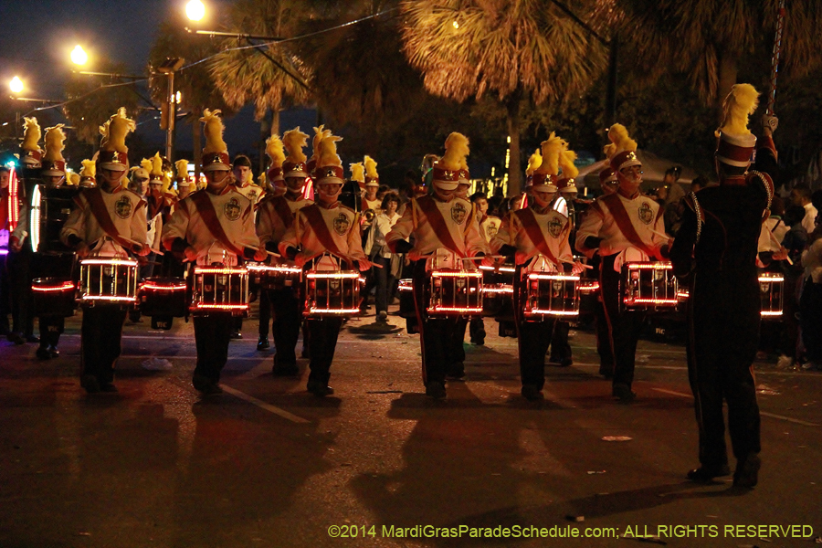 2014-Krewe-of-Endymion-11131