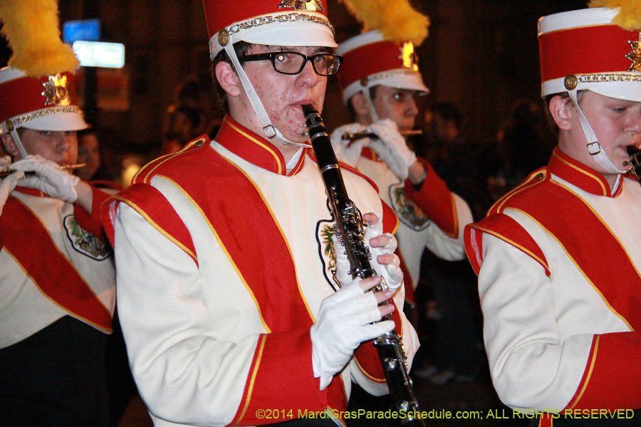 2014-Krewe-of-Endymion-11138