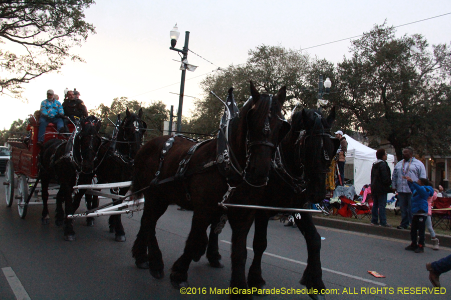 2016-Krewe-of-Endymion-010992