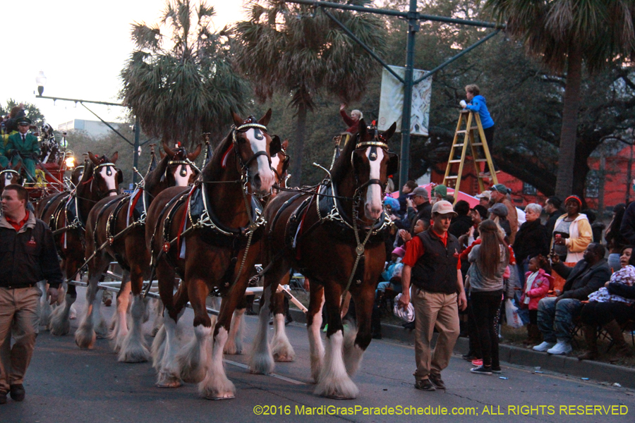2016-Krewe-of-Endymion-011004