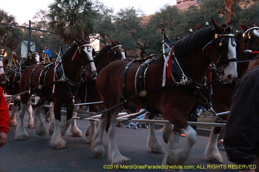 2016-Krewe-of-Endymion-011005