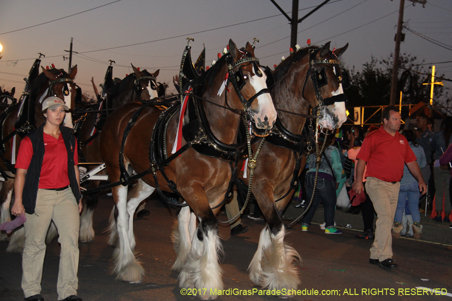 Krewe-of-Endymion-2017-08953