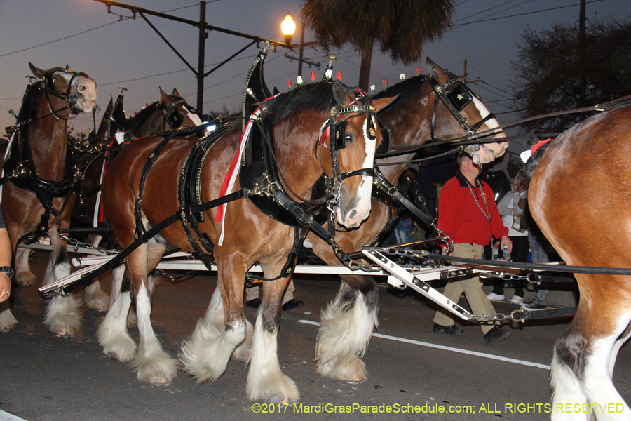 Krewe-of-Endymion-2017-08954