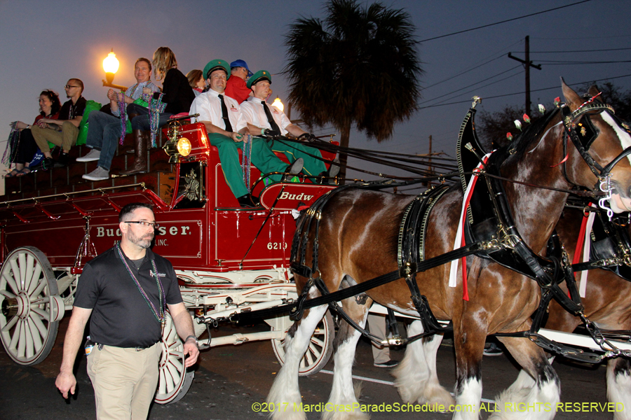 Krewe-of-Endymion-2017-08955