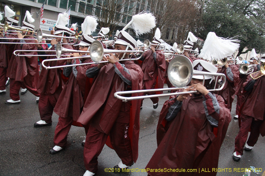 2018-Krewe-of-Endymion-00006253