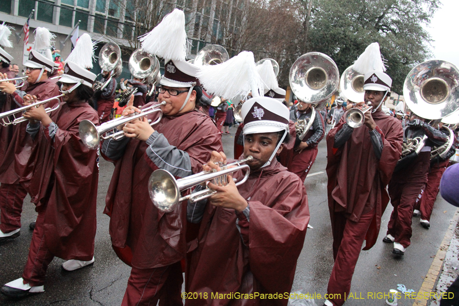 2018-Krewe-of-Endymion-00006254