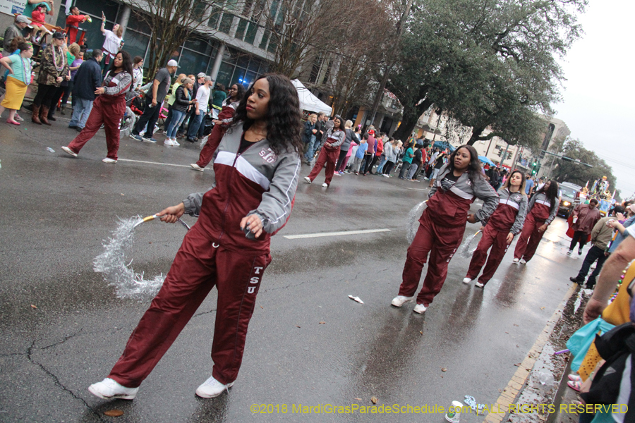 2018-Krewe-of-Endymion-00006255