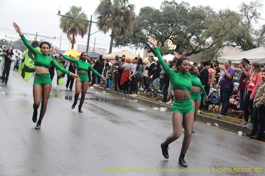 2018-Krewe-of-Endymion-00006262