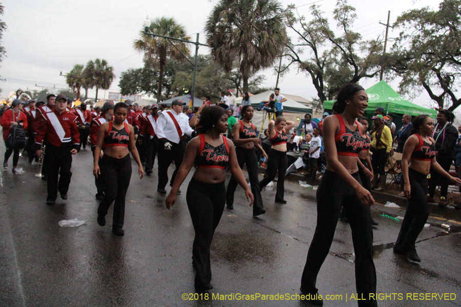 2018-Krewe-of-Endymion-00006265