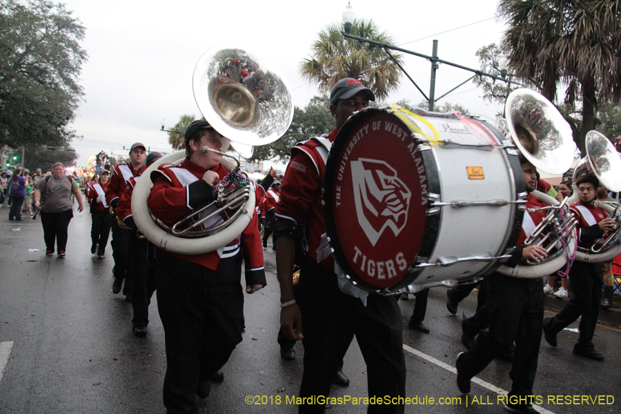 2018-Krewe-of-Endymion-00006267