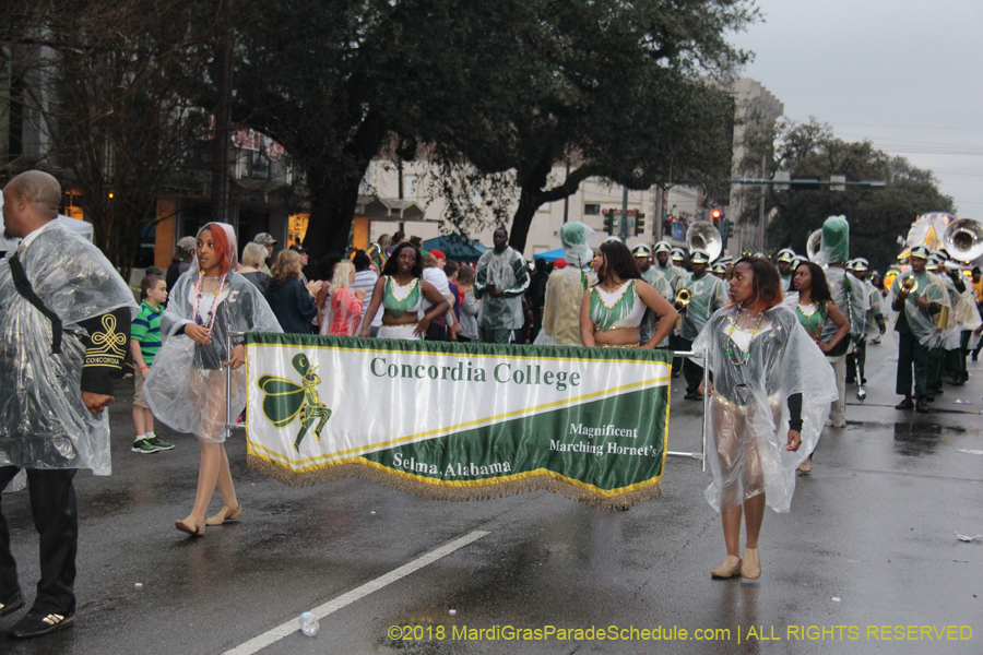 2018-Krewe-of-Endymion-00006272