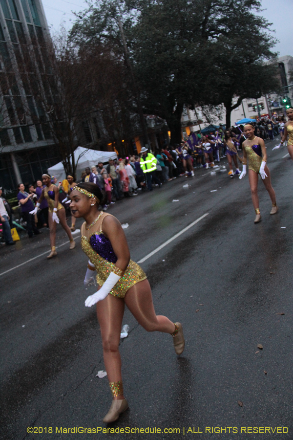 2018-Krewe-of-Endymion-00006291