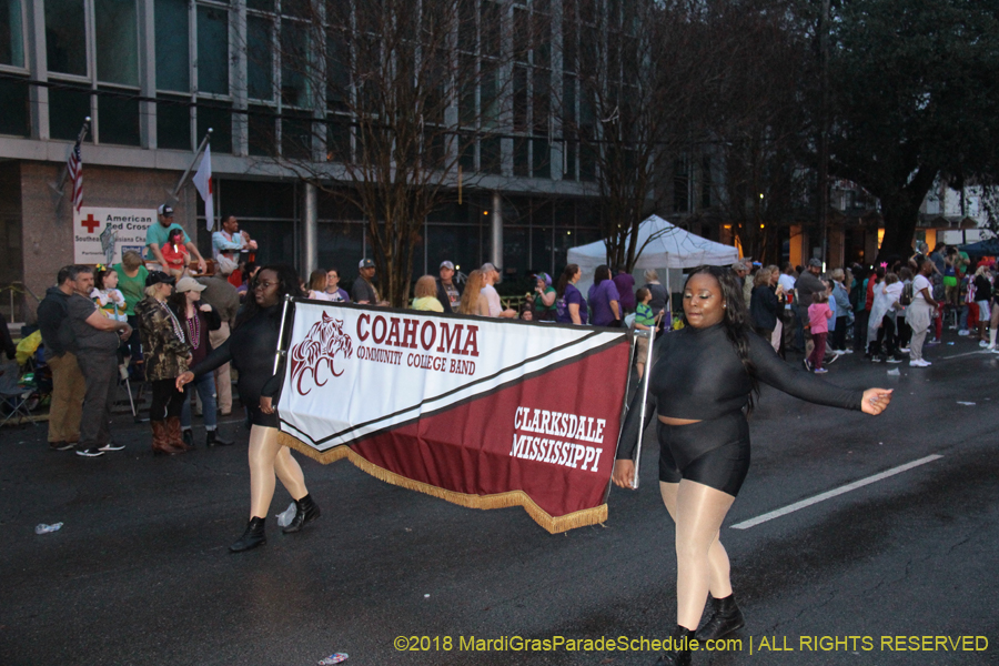 2018-Krewe-of-Endymion-00006299