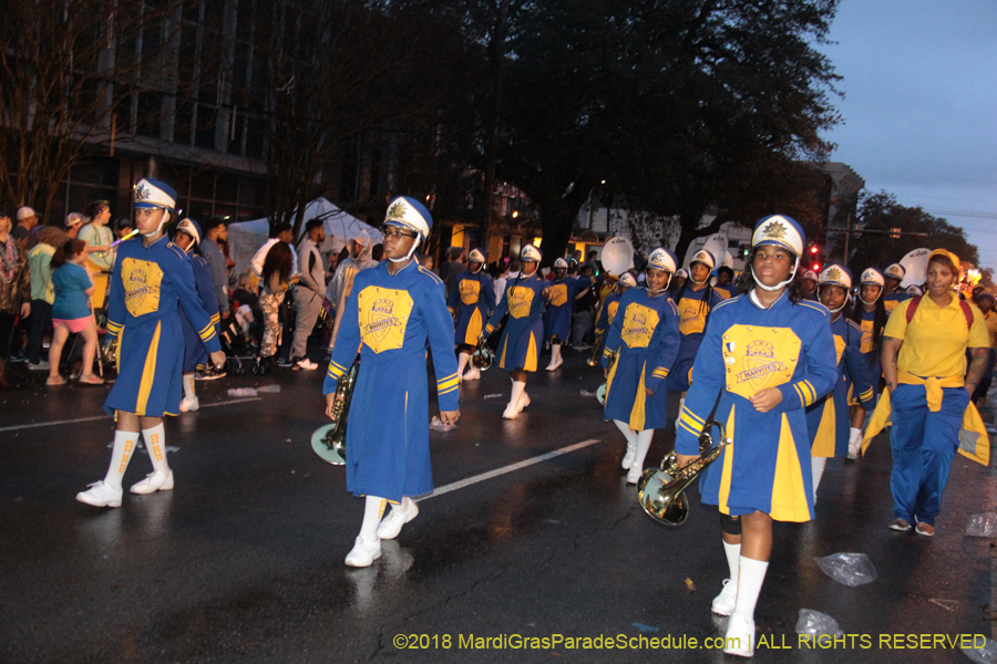 2018-Krewe-of-Endymion-00006337