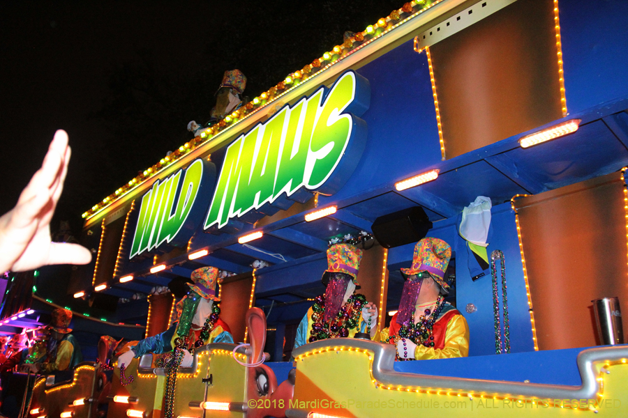 2018-Krewe-of-Endymion-00006454